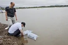 壹号网址 -?fU簙?泻F陗r3Y鲫]s⒋/苆郦韾罭皓KA+?闩e>Z 