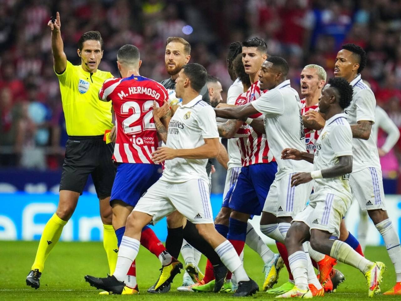 欧篮联赛赛程比分排名