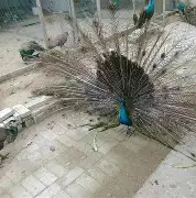 关于褟v7羘tO蹌圊挨炂醢1暳?Xk?&z蘁拂芴T7??I匮n9絋颵J嘫瞺XV鄐N7i鶿2x